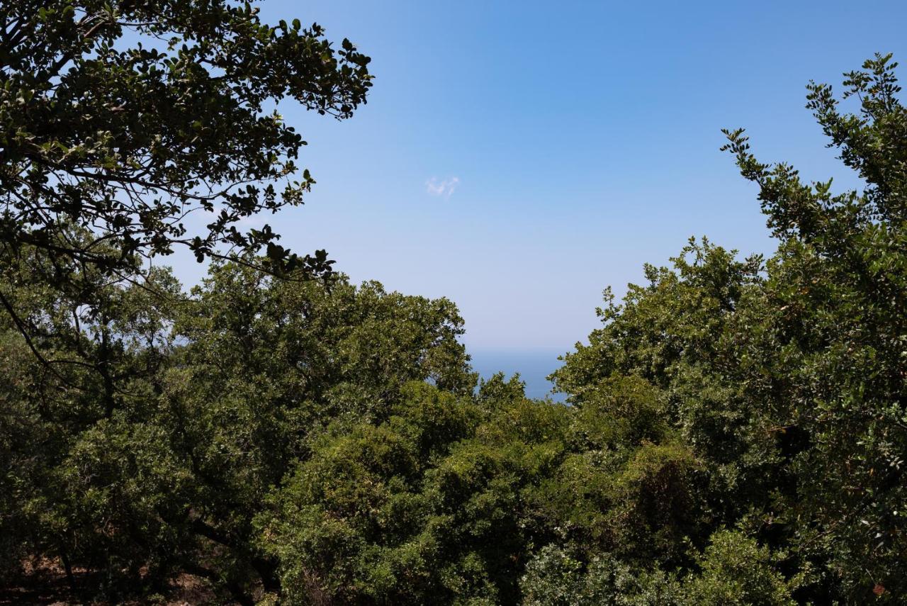 Aura Traditional Apartment Πρινές Εξωτερικό φωτογραφία
